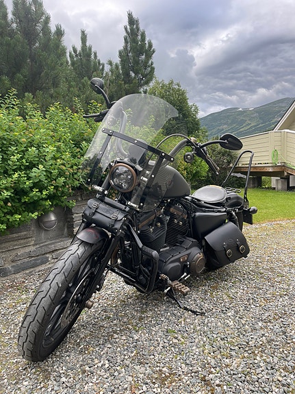 Harley-Davidson XL 883N Iron 8 of 30