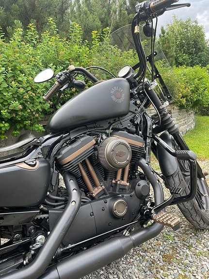 Harley-Davidson XL 883N Iron 14 of 30