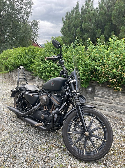 Harley-Davidson XL 883N Iron 16 of 30