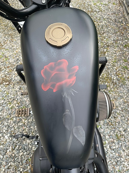 Harley-Davidson XL 883N Iron 10 of 30
