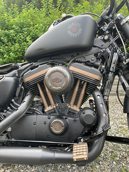 Harley-Davidson XL 883N Iron 18 of 30