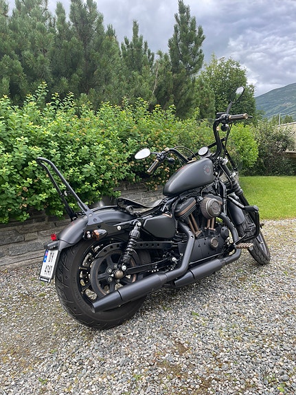 Harley-Davidson XL 883N Iron 13 of 30