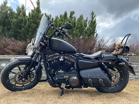 Harley-Davidson XL 883N Iron 4 of 30