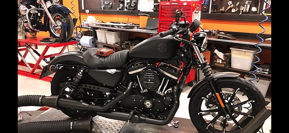 Harley-Davidson XL 883N Iron 26 of 30