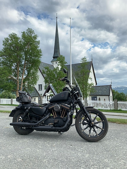 Harley-Davidson XL 883N Iron 7 of 30