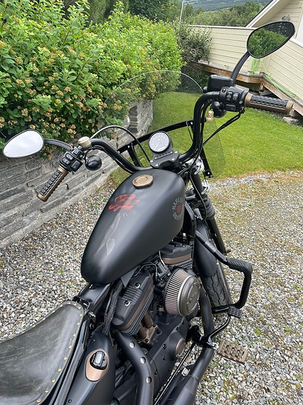 Harley-Davidson XL 883N Iron 19 of 30