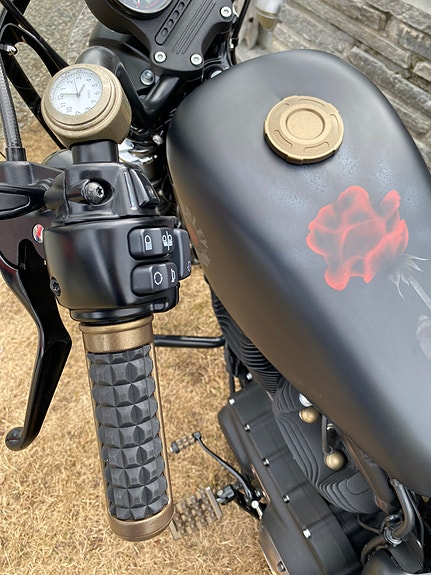 Harley-Davidson XL 883N Iron 5 of 30