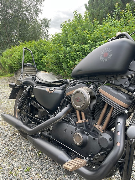 Harley-Davidson XL 883N Iron 20 of 30