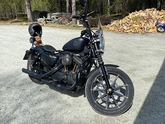 Harley-Davidson XL 883N Iron 6 of 30