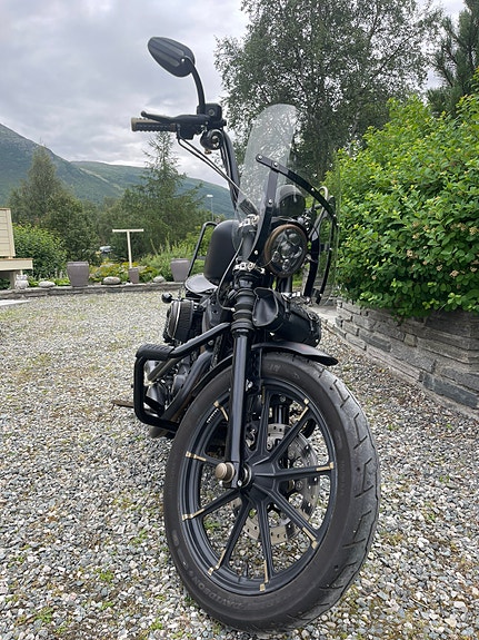 Harley-Davidson XL 883N Iron 17 of 30
