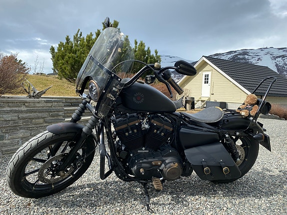 Harley-Davidson XL 883N Iron 2 of 30
