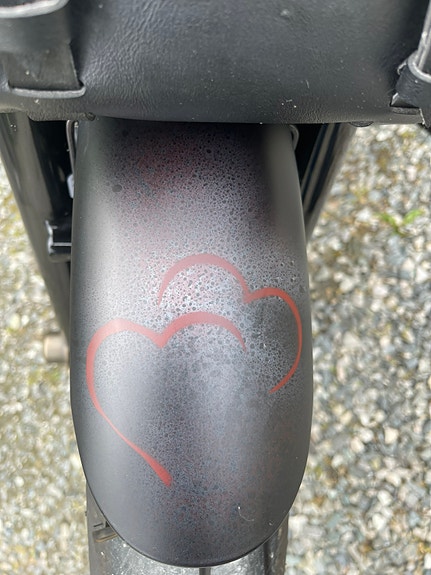 Harley-Davidson XL 883N Iron 11 of 30