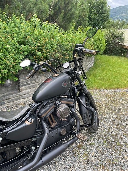 Harley-Davidson XL 883N Iron 15 of 30