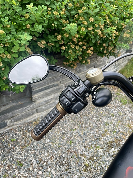 Harley-Davidson XL 883N Iron 21 of 30