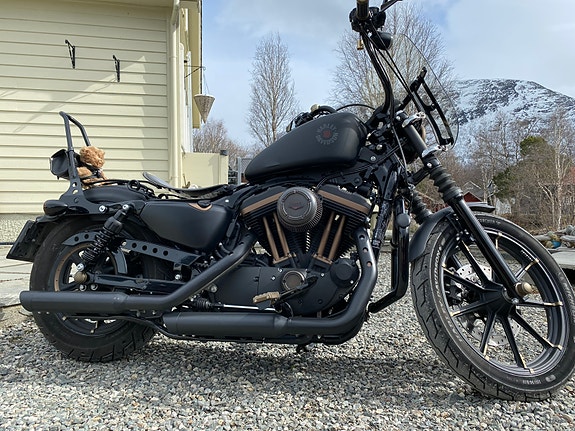 Harley-Davidson XL 883N Iron 3 of 30