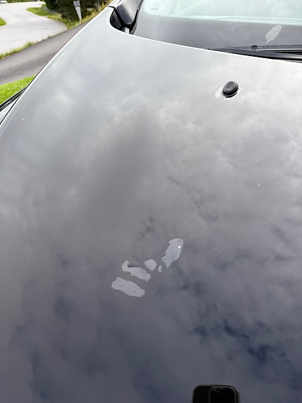 Peugeot 308 13 of 13