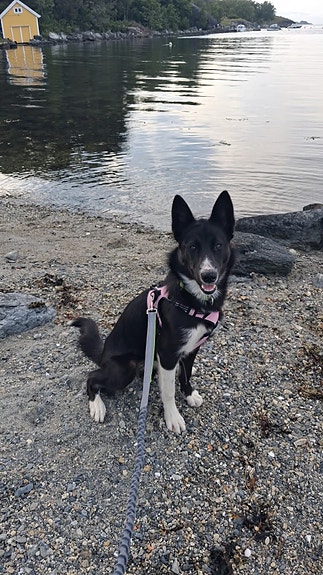 Product image 5 of 9