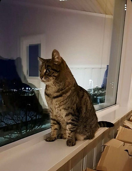 Product image 5 of 10