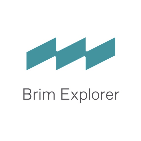 BRIM EXPLORER AS logo