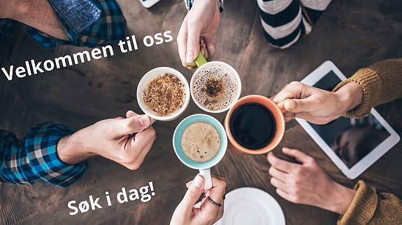 Bilde 2 av 3 i jobbannonse-galleriet