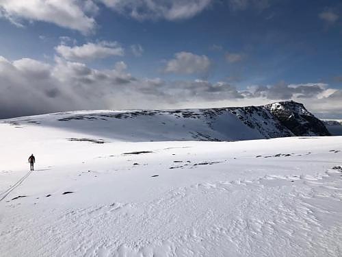 Berlevåg kommune logo