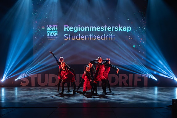 Ungt Entreprenørskap Vestfold og Telemark arrangerer fylkes- og regionmesterskap for Elev-, Ungdoms- og Studentbedrifter.