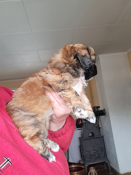 Product image 8 of 9