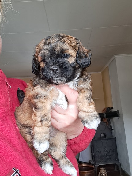 Product image 9 of 9