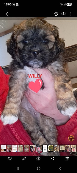 Product image 2 of 9