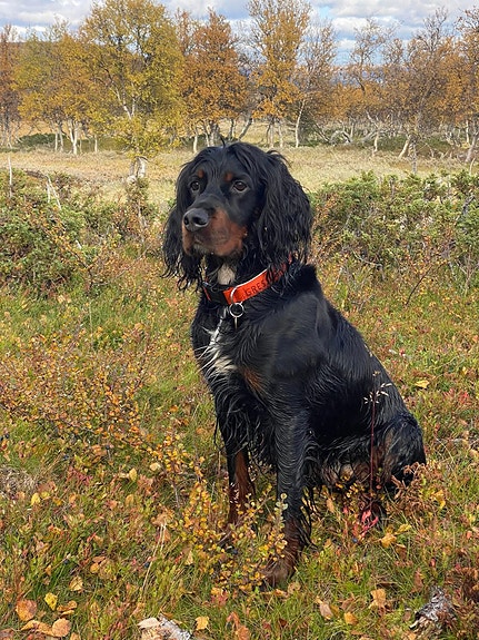 Product image 3 of 9