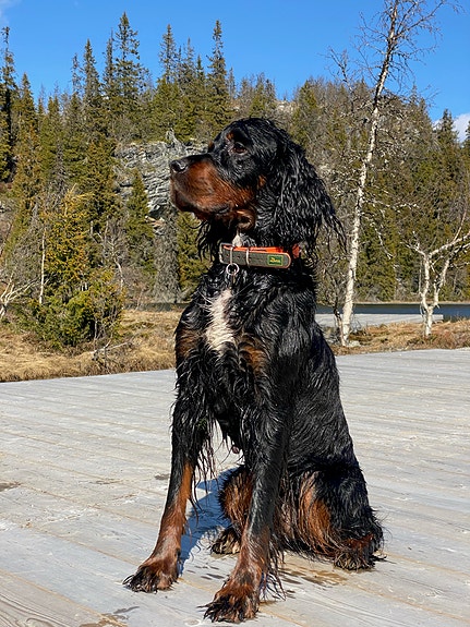 Product image 4 of 9