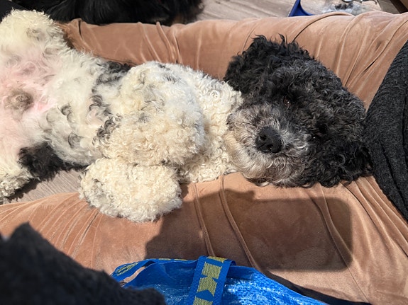 Product image 8 of 9