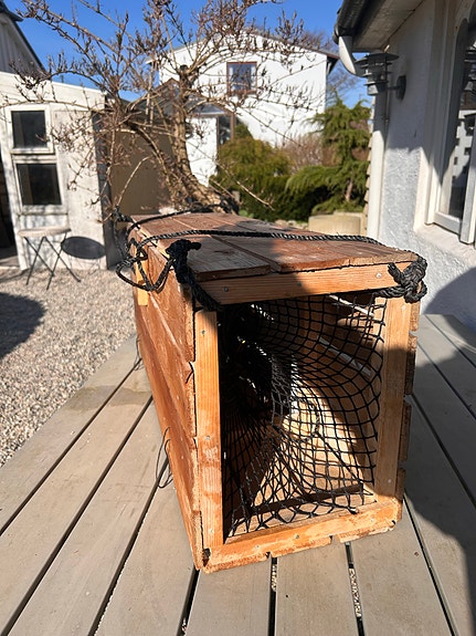 Product image 7 of 9