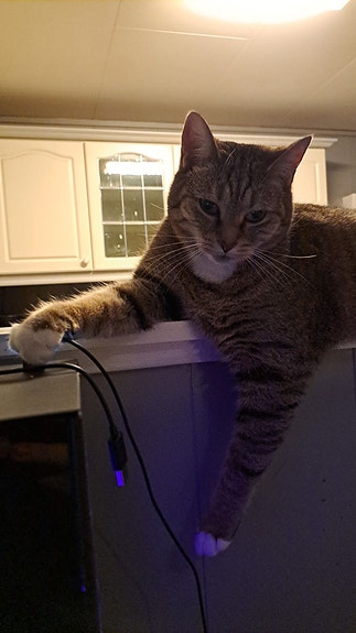 Product image 6 of 10