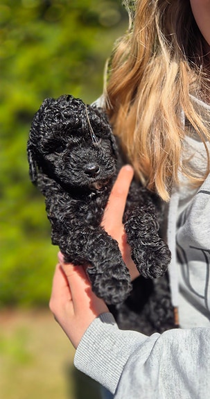 Product image 5 of 9