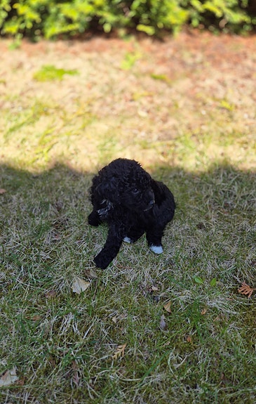 Product image 6 of 9