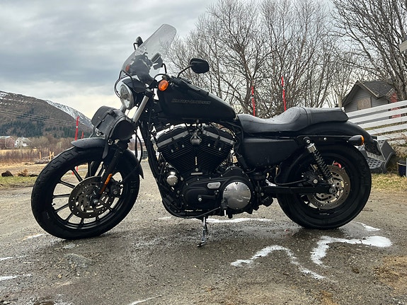 Harley-Davidson XL 883N Iron 3 of 5