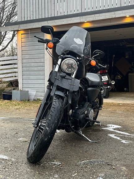 Harley-Davidson XL 883N Iron 2 of 5