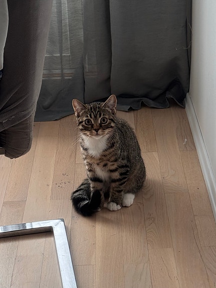 Product image 3 of 7