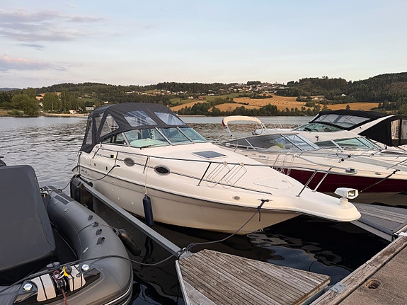 Sea ray 250 6 of 8
