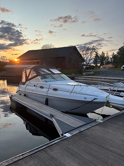 Sea ray 250 2 of 8