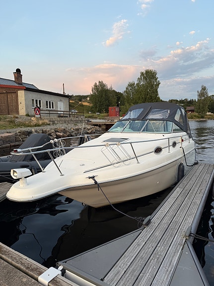 Sea ray 250 3 of 8
