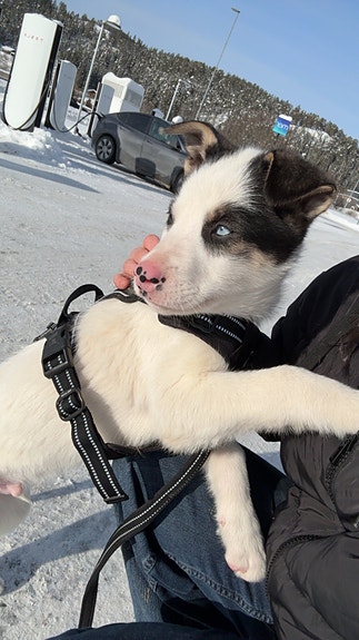 Product image 6 of 7