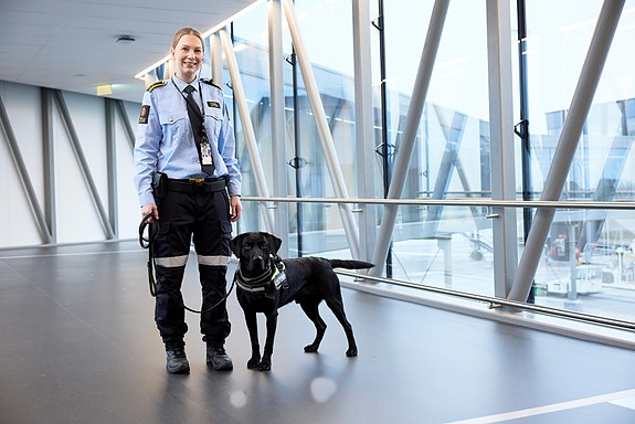 Bilde 2 av 4 i jobbannonse-galleriet