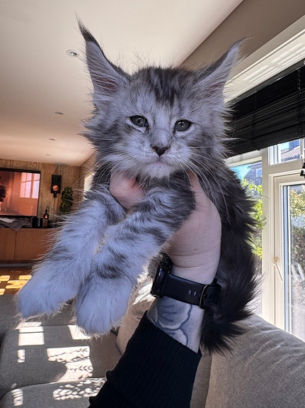 Product image 2 of 4