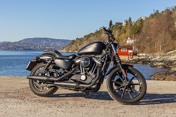 Harley-Davidson XL 883N Iron 6 of 10