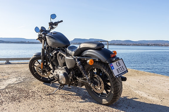 Harley-Davidson XL 883N Iron 2 of 10