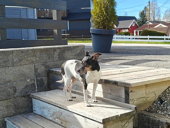 Product image 4 of 8