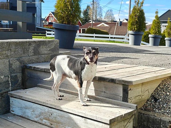 Product image 5 of 8