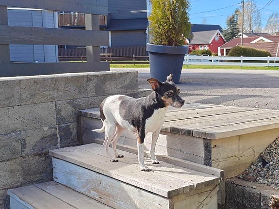 Product image 3 of 8